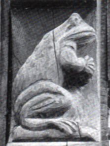 pogge_am_haus.jpg